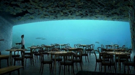 Норвегия ресторан под водой ресторан "Under" гармония с природой гастрономия 