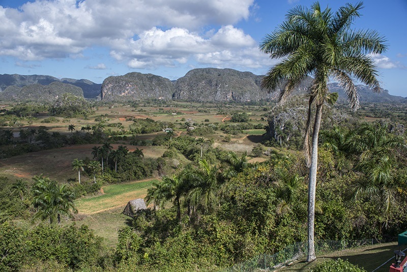 viñales