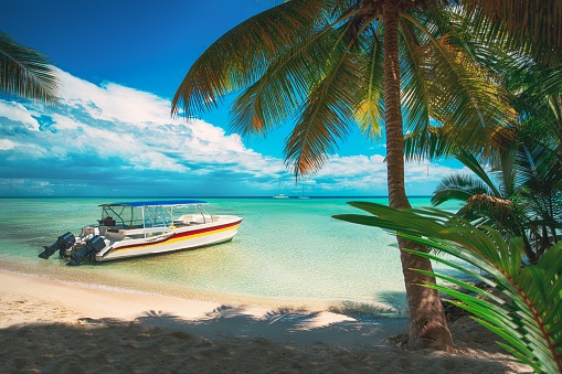 beach dominicana