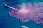 Попытки остановить разлив нефти в Мексиканском заливе пока не завершились успехом