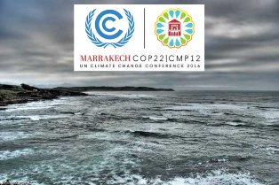 Саммит по климату в Марокко: Чили с важным вкладом по теме океанов 