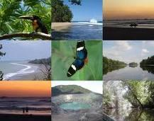 Коста-Рика лидирует среди латиноамериканских стран в списке туристических брендов согласно FutureBrand
