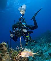 Fotosub2014 включает Кубу как пункт  международных назначений для ныряния