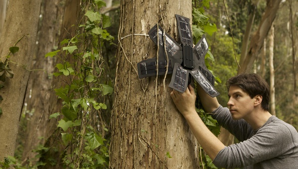 Бразилия: мобильники помогают защите лесов    