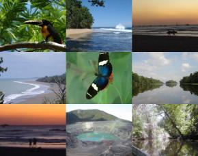 Коста-Рика завершит год с 8,3%-ным ростом показателя туристических прибытий